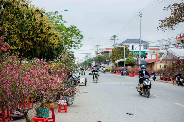 Khung cảnh nhộn nhịp ở chợ hoa Ba Đồn ngày giáp Tết- Ảnh 10.