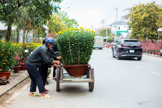 Khung cảnh nhộn nhịp ở chợ hoa Ba Đồn ngày giáp Tết- Ảnh 9.