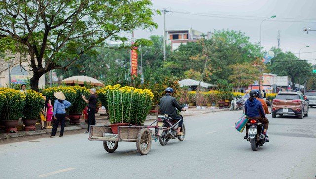 Khung cảnh nhộn nhịp ở chợ hoa Ba Đồn ngày giáp Tết- Ảnh 8.