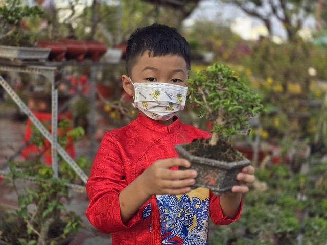 Nhà vườn bông giấy thắng lớn ở Hội hoa xuân Bến Bình Đông- Ảnh 8.