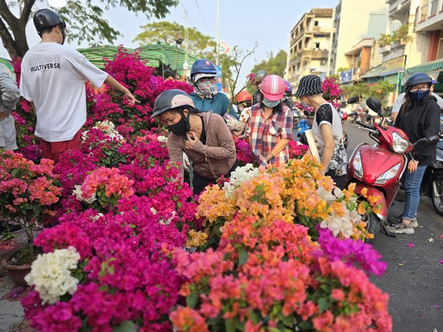 Nhà vườn bông giấy thắng lớn ở Hội hoa xuân Bến Bình Đông- Ảnh 1.