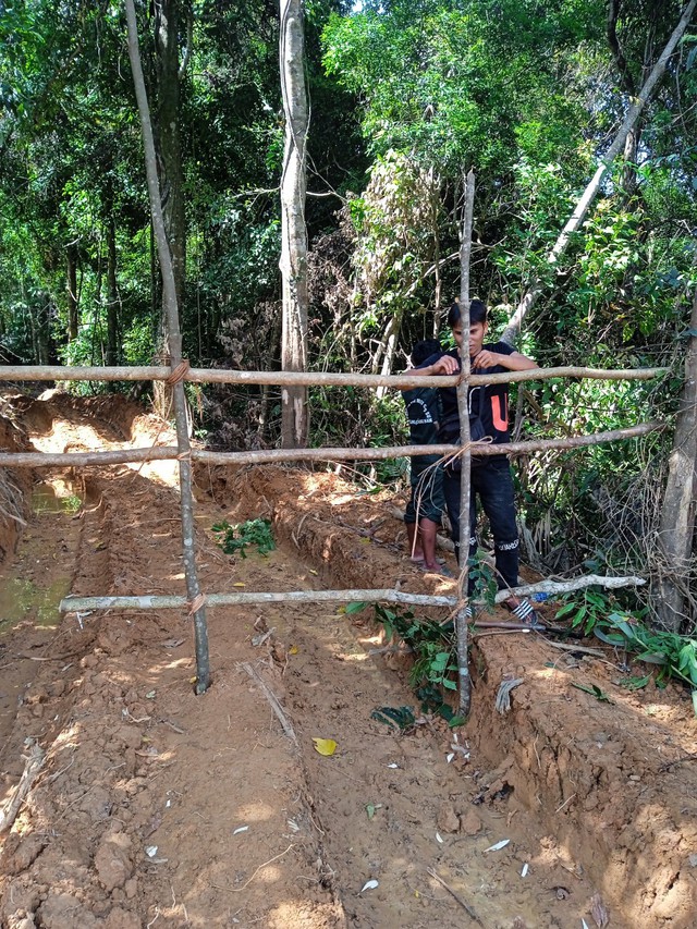 Khởi tố vụ hủy hoại rừng để làm đường dây thủy điện Tr'Hy ở Quảng Nam- Ảnh 4.