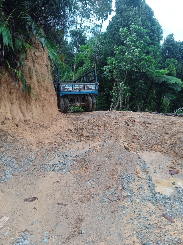 Khởi tố vụ hủy hoại rừng để làm đường dây thủy điện Tr'Hy ở Quảng Nam- Ảnh 6.