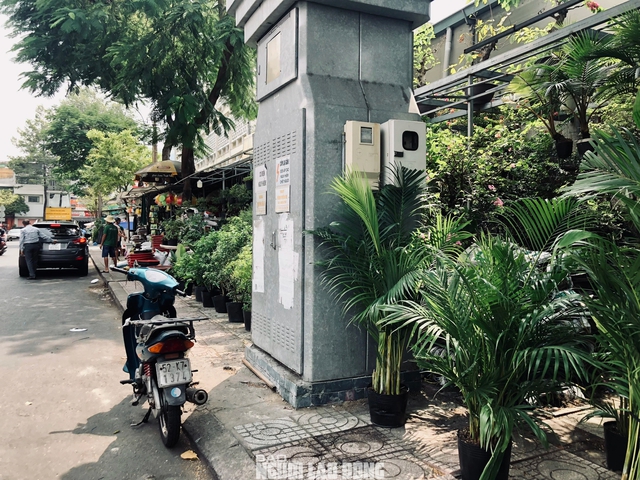 TP HCM: Cảnh trái ngược bên trong khu đất 419 Lê Hồng Phong- Ảnh 7.