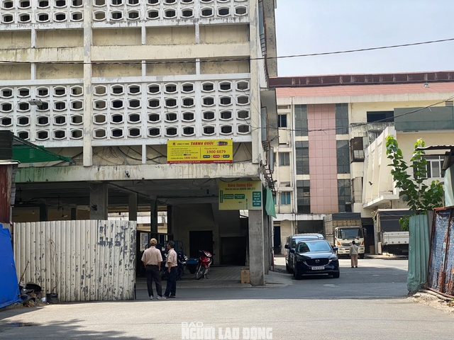 TP HCM: Cảnh trái ngược bên trong khu đất 419 Lê Hồng Phong- Ảnh 11.
