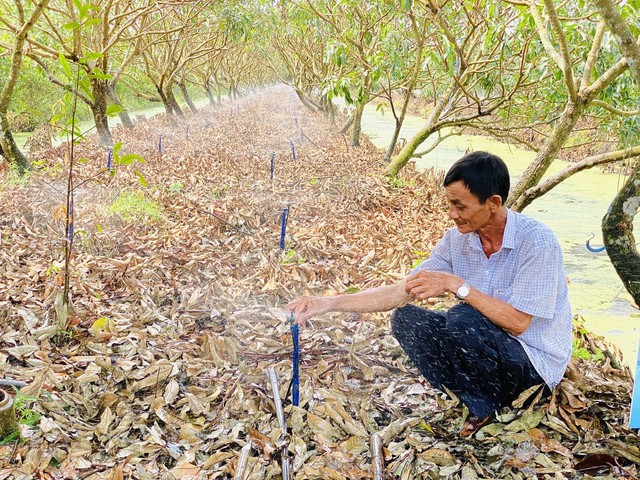 Nông dân sử dụng hệ thống đường ống tưới giúp tiết kiệm nước trong mùa khô hạn Ảnh: NGỌC TRINH