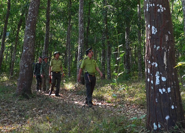 Khám phá khu rừng quý còn nguyên vẹn ở Bà Rịa- Vũng Tàu- Ảnh 9.