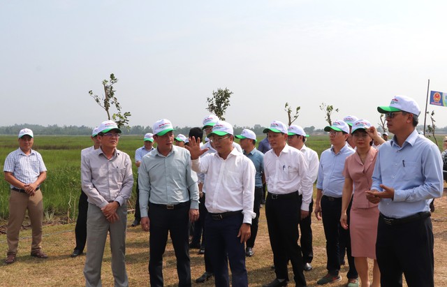Bộ trưởng Đặng Quốc Khánh và lãnh đạo Quảng Nam thả cá ở sông Đầm- Ảnh 1.