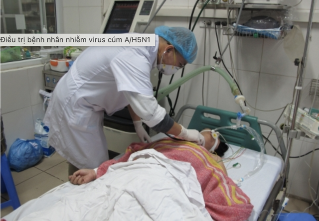 Gần 50% ca nhiễm cúm A/H5N1 tử vong, Bộ Y tế lưu ý 5 điểm này- Ảnh 1.
