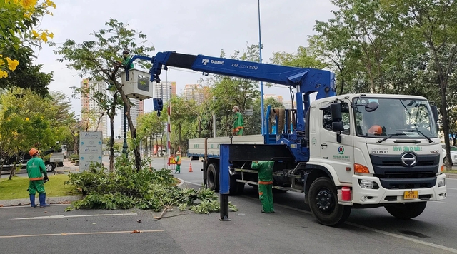Sắp dịch chuyển, chặt hạ hơn 200 cây xanh khu vực nút giao thông An Phú- Ảnh 1.