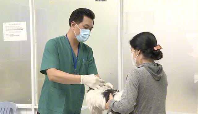 TP HCM đang tổ chức tiêm vắc-xin dại đại trà cho chó, mèo - Ảnh 1.