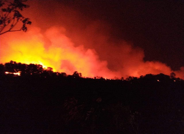 Phú Quốc đang cảnh báo cháy rừng cấp cực kỳ nguy hiểm- Ảnh 9.