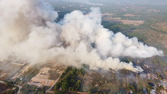 Phú Quốc đang cảnh báo cháy rừng cấp cực kỳ nguy hiểm- Ảnh 8.