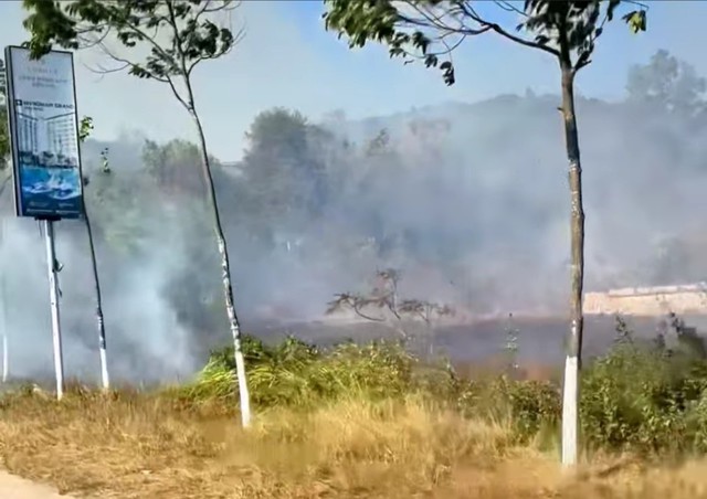 Phú Quốc đang cảnh báo cháy rừng cấp cực kỳ nguy hiểm- Ảnh 2.