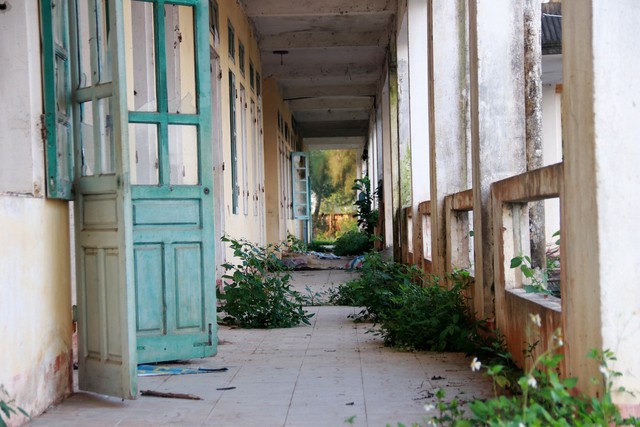 Hình ảnh xót xa tại các trụ sở, trường học tiền tỉ bị bỏ hoang ở Hà Tĩnh- Ảnh 18.