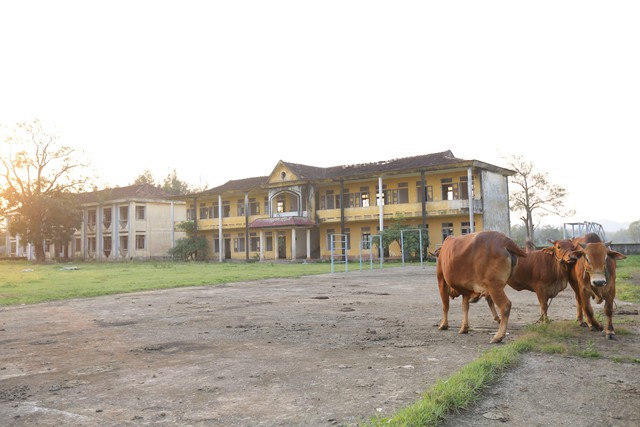 Hình ảnh xót xa tại các trụ sở, trường học tiền tỉ bị bỏ hoang ở Hà Tĩnh- Ảnh 25.