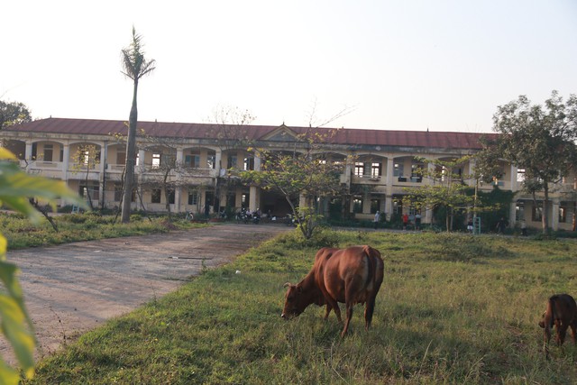 Hình ảnh xót xa tại các trụ sở, trường học tiền tỉ bị bỏ hoang ở Hà Tĩnh- Ảnh 17.