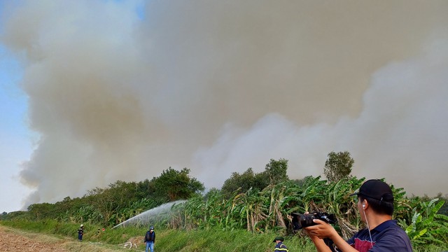 CLIP: Cháy rừng ở Cà Mau, phó chủ tịch tỉnh đến hiện trường- Ảnh 4.