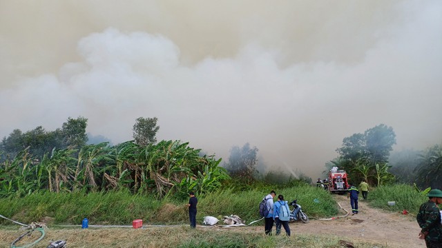 CLIP: Cháy rừng ở Cà Mau, phó chủ tịch tỉnh đến hiện trường- Ảnh 3.