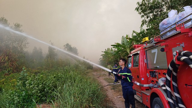 CLIP: Cháy rừng ở Cà Mau, phó chủ tịch tỉnh đến hiện trường- Ảnh 5.