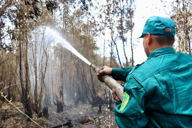 Diện tích lớn rừng tràm ở Cà Mau đã bị thiệt hại sau vụ cháy Ảnh: VÂN DU