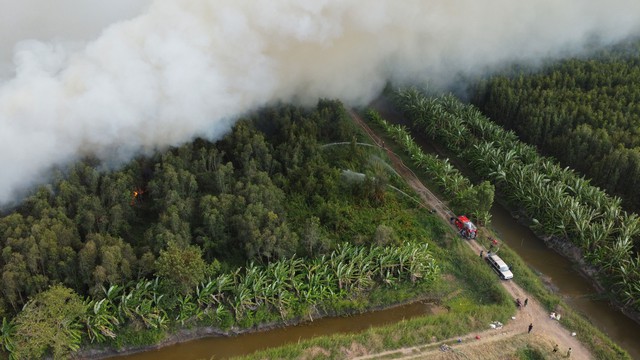 Lửa cháy dữ dội và cột khói cao hàng chục mét khi xảy ra vụ cháy rừng tràm ở Nông trường 402