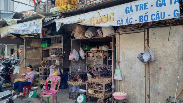  Nhiều quán cơm gà ở Nha Trang đóng cửa, tiểu thương mong "minh oan" cho thịt gà- Ảnh 2.