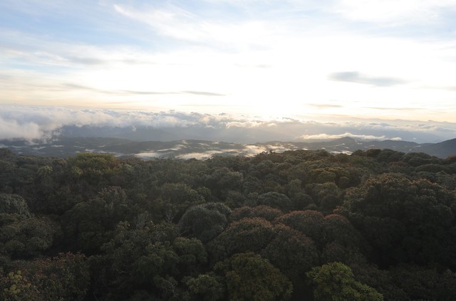 Lâm Đồng: Thu hồi hơn 1,2 tỉ đồng chi sai từ Vườn quốc gia Bidoup - Núi Bà- Ảnh 1.