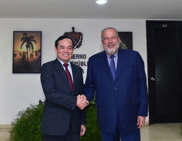 Phó Thủ tướng Trần Lưu Quang hội kiến với Thủ tướng Cuba- Ảnh 1.