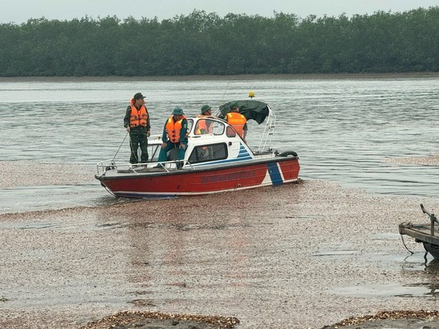 Thủ tướng Chính phủ chỉ đạo tập trung tìm kiếm người mất tích trong vụ lật thuyền- Ảnh 1.