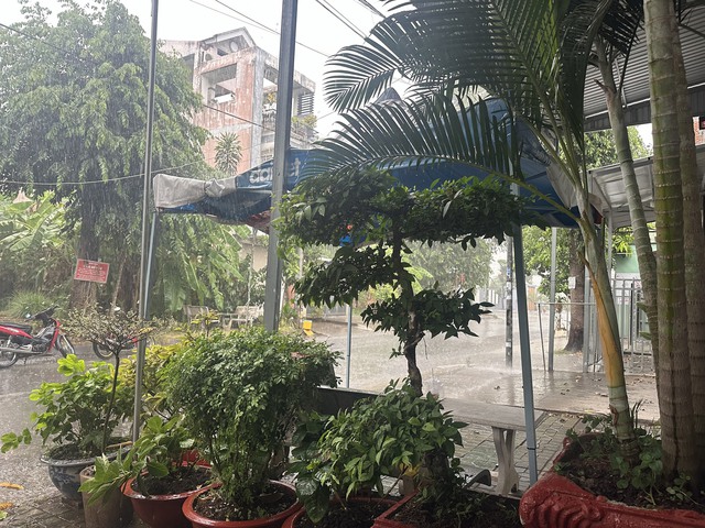 CLIP: Người dân Cần Thơ vui sướng khi đón cơn mưa 