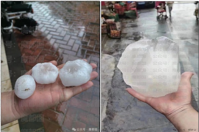 Theo tờ Quảng Châu Nhật báo, những hạt mưa đá có kích thước lớn hơn nắm tay. Ảnh: bendi.news