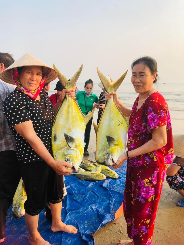Ngư dân Hà Tĩnh “trúng” mẻ cá vàng dương, thu về hơn 300 triệu đồng- Ảnh 2.