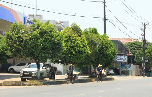 Người dân khốn khổ dưới cái nắng kỷ lục 44 độ C ở Quảng Trị- Ảnh 5.