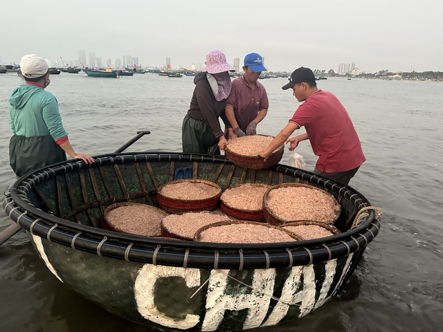 Khu chợ ven biển Đà Nẵng, chỉ bán độc nhất một loại hải sản- Ảnh 2.