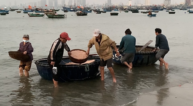 Khu chợ ven biển Đà Nẵng, chỉ bán độc nhất một loại hải sản- Ảnh 3.