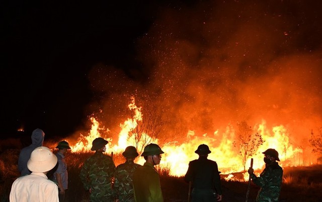 Cháy rừng lớn ở Quảng Bình: Hơn 10 ha rừng ven biển bị thiêu rụi- Ảnh 1.