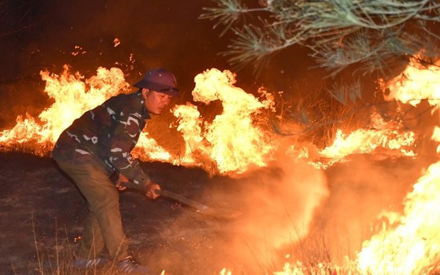Cháy rừng lớn ở Quảng Bình: Hơn 10 ha rừng ven biển bị thiêu rụi- Ảnh 2.