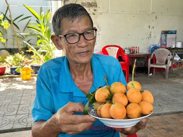 Bí quyết trồng thanh trà ngọt của lão nông ở miền Tây- Ảnh 8.