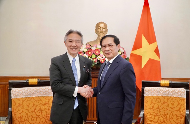 Nhật Bản muốn hỗ trợ Việt Nam bảo tồn di sản- Ảnh 1.