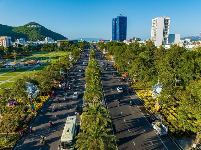 Đường Nguyễn Tất Thành, TP Quy Nhơn rợp bóng cây xanh Ảnh: NGUYỄN DŨNG
