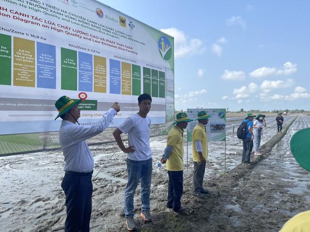 Bình Điền đồng hành nông dân thực hiện đề án Một triệu ha lúa chất lượng cao- Ảnh 5.