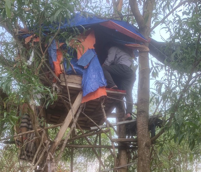 Làm lán trên cây để mua bán... ma túy- Ảnh 3.