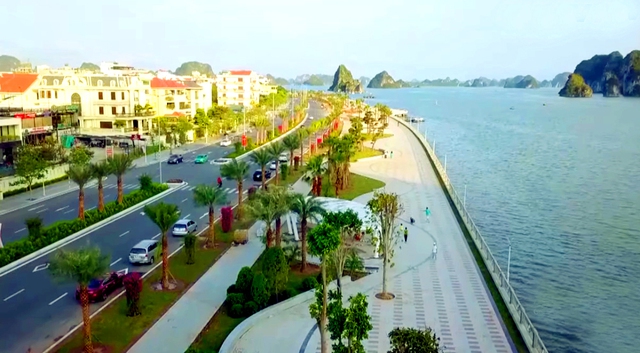 Rà soát các dự án trồng cây xanh tại Quảng Ninh theo yêu cầu của Bộ Công an- Ảnh 1.
