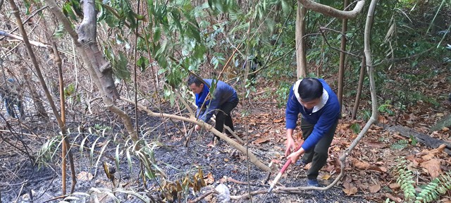 200 người khẩn trương chữa cháy rừng tự nhiên tại Đà Nẵng- Ảnh 2.