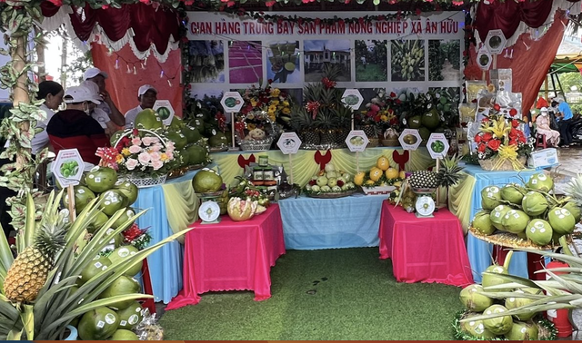 Tưng bừng Ngày hội nông sản tại “thủ phủ” cây ăn quả của Bình Định- Ảnh 1.