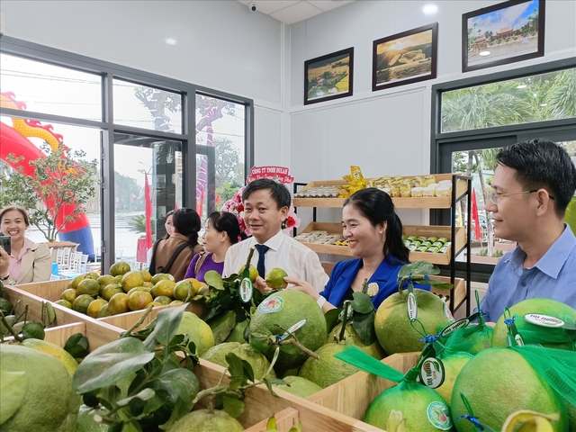 Tưng bừng Ngày hội nông sản tại “thủ phủ” cây ăn quả của Bình Định- Ảnh 5.