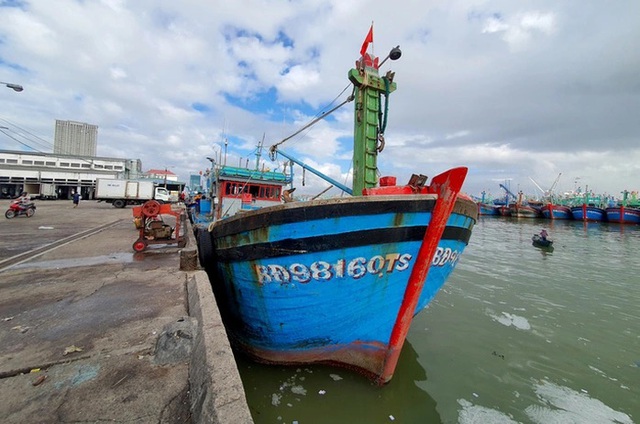 Di dời toàn bộ tàu cá neo đậu tại biển Quy Nhơn để phát triển du lịch- Ảnh 1.