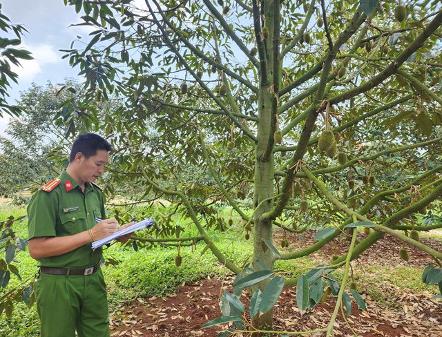 Cha và con tranh chấp 1 lô đất suốt 7 năm- Ảnh 2.