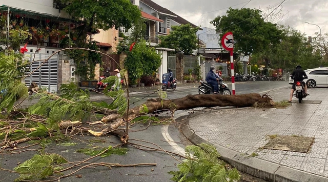 Cây xanh ngã đổ, nhà cửa hư hại vì dông lốc ở Huế- Ảnh 3.